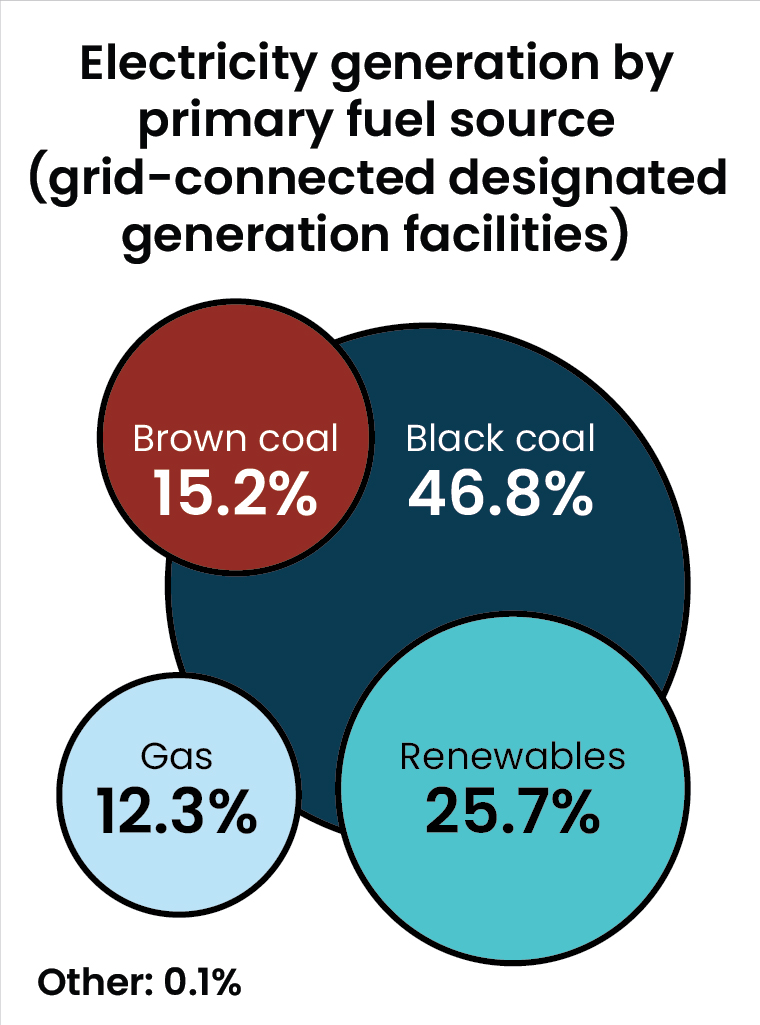 Bubble graph showing the percentages of electricity generation by primary fuel source