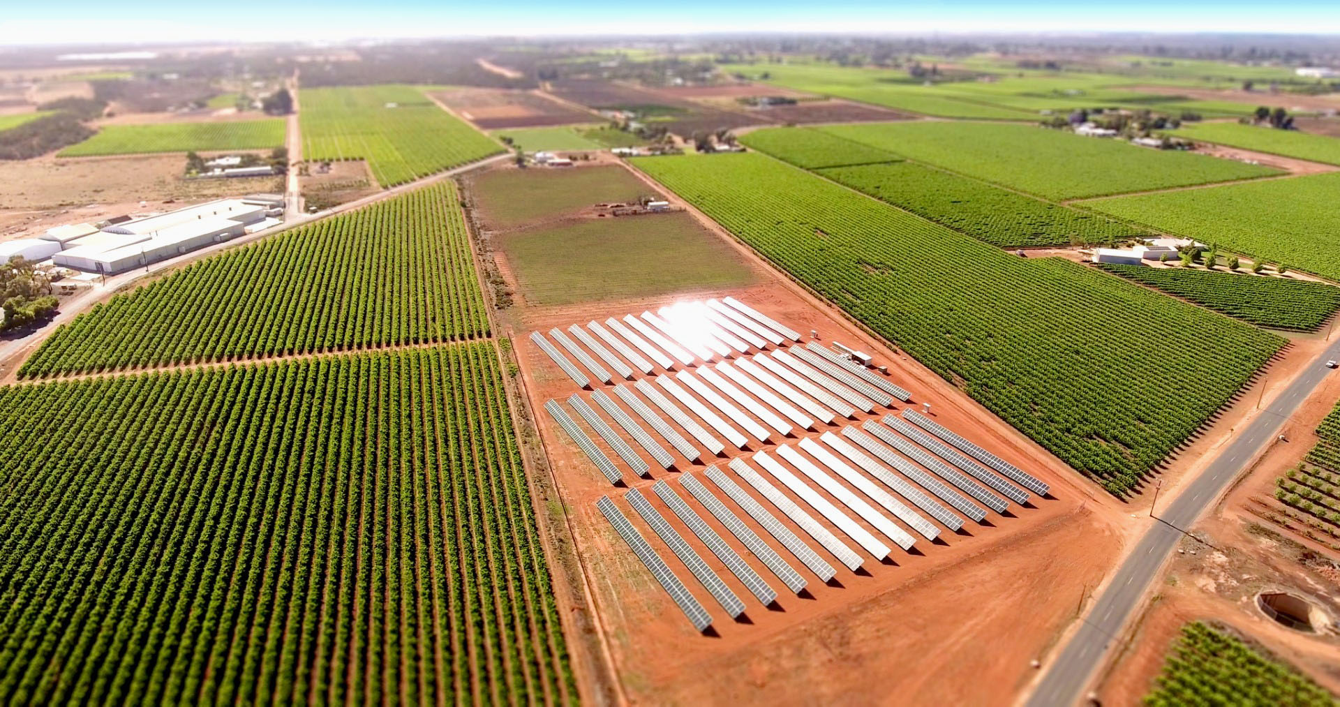 The photo shows solar panels on a portion of unused land at a vineyard in Monash, South Australia